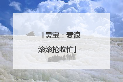 灵宝：麦浪滚滚抢收忙