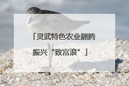灵武特色农业翻腾振兴“致富浪”