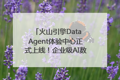火山引擎Data Agent体验中心正式上线！企业级AI数据专家触手可及