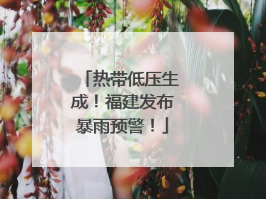 热带低压生成！福建发布暴雨预警！