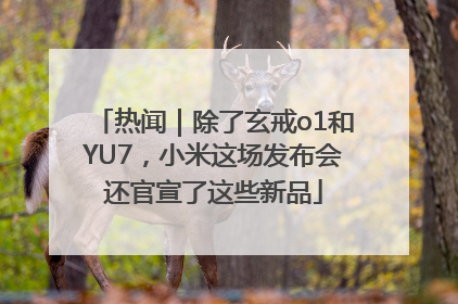 热闻｜除了玄戒o1和YU7，小米这场发布会还官宣了这些新品