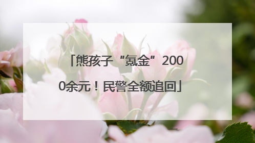 熊孩子“氪金”2000余元！民警全额追回