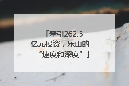 牵引262.5亿元投资，乐山的“速度和深度”