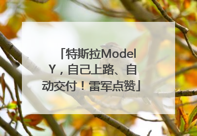 特斯拉Model Y，自己上路、自动交付！雷军点赞