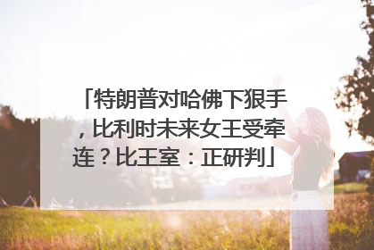 特朗普对哈佛下狠手，比利时未来女王受牵连？比王室：正研判