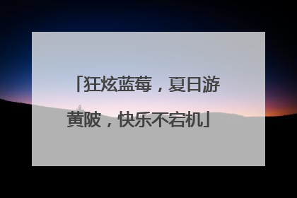 狂炫蓝莓，夏日游黄陂，快乐不宕机