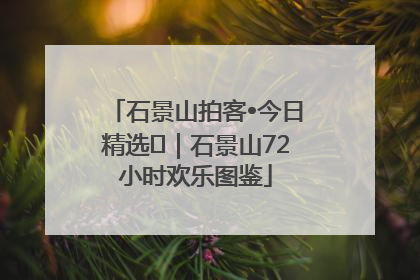 石景山拍客•今日精选⑲｜石景山72小时欢乐图鉴