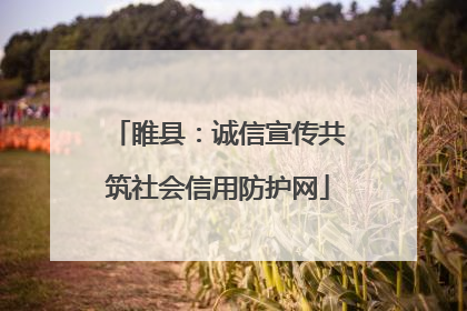 睢县：诚信宣传共筑社会信用防护网