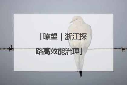 瞭望｜浙江探路高效能治理