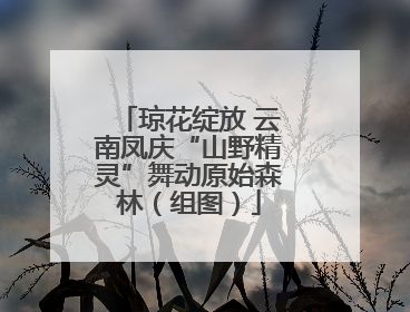 琼花绽放 云南凤庆“山野精灵”舞动原始森林（组图）