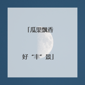 瓜果飘香 好“丰”景