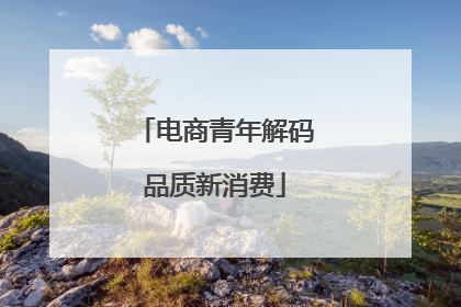 电商青年解码品质新消费