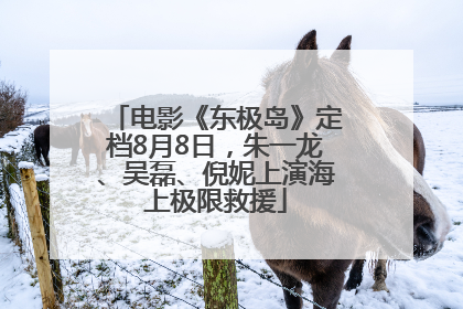 电影《东极岛》定档8月8日，朱一龙、吴磊、倪妮上演海上极限救援