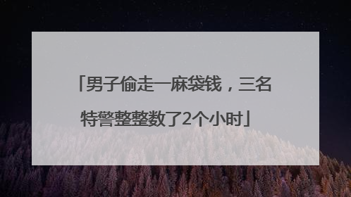 男子偷走一麻袋钱，三名特警整整数了2个小时