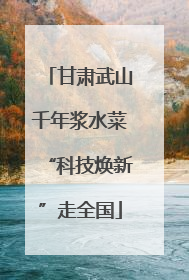 甘肃武山千年浆水菜“科技焕新”走全国