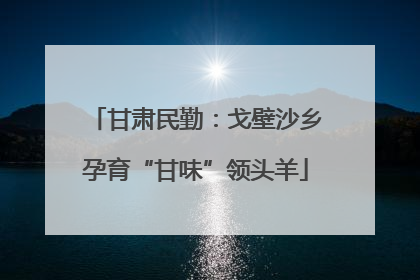 甘肃民勤：戈壁沙乡孕育“甘味”领头羊