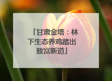甘肃金塔：林下生态养鸡踏出致富新道