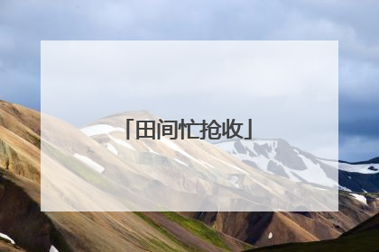 田间忙抢收