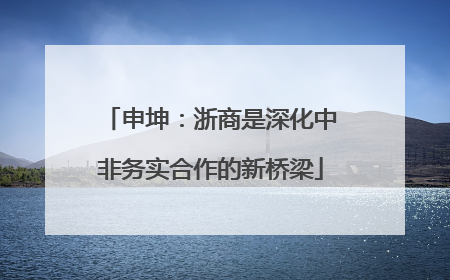 申坤：浙商是深化中非务实合作的新桥梁