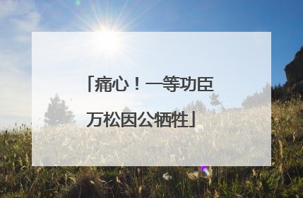 痛心！一等功臣万松因公牺牲