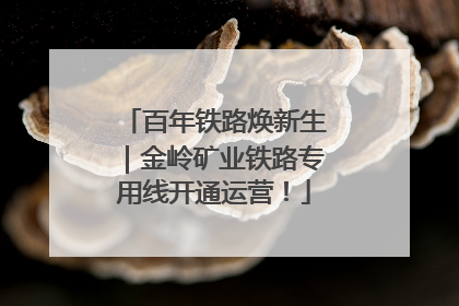 百年铁路焕新生｜金岭矿业铁路专用线开通运营！