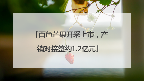 百色芒果开采上市，产销对接签约1.2亿元