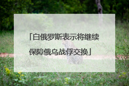 白俄罗斯表示将继续保障俄乌战俘交换