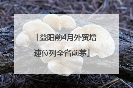 益阳前4月外贸增速位列全省前茅