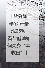 盐分降一半多 产量涨25% 看盐碱地如何变身“丰收田”