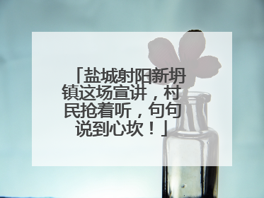 盐城射阳新坍镇这场宣讲，村民抢着听，句句说到心坎！
