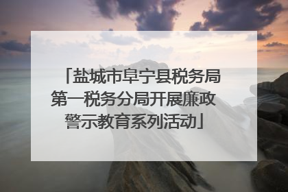盐城市阜宁县税务局第一税务分局开展廉政警示教育系列活动