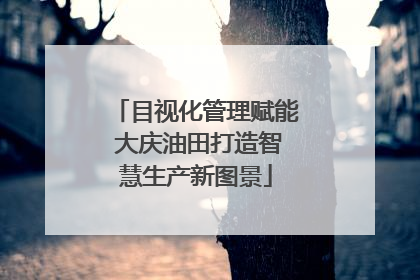 目视化管理赋能 大庆油田打造智慧生产新图景