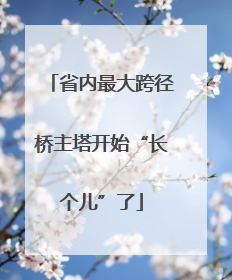 省内最大跨径桥主塔开始“长个儿”了