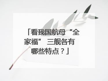 看我国航母“全家福” 三舰各有哪些特点？