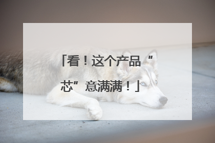 看！这个产品“芯”意满满！
