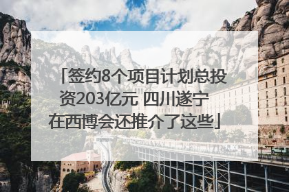 签约8个项目计划总投资203亿元 四川遂宁在西博会还推介了这些