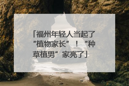 福州年轻人当起了“植物家长”！“种草植男”家亮了