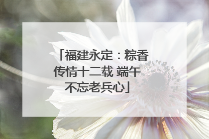 福建永定：粽香传情十二载 端午不忘老兵心