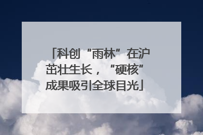 科创“雨林”在沪茁壮生长，“硬核”成果吸引全球目光