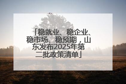 稳就业、稳企业、稳市场、稳预期，山东发布2025年第二批政策清单