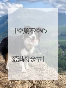 空巢不空心 爱满母亲节