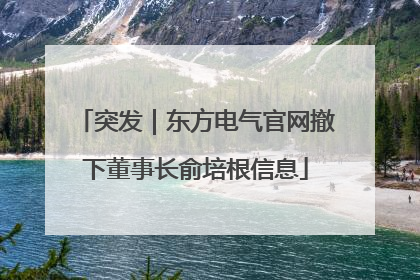 突发｜东方电气官网撤下董事长俞培根信息