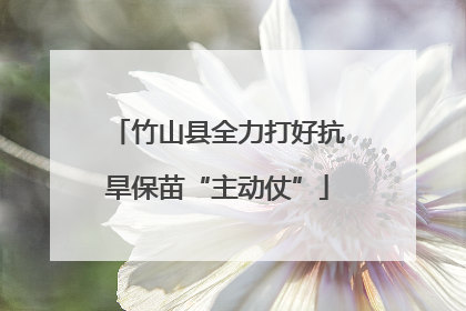 竹山县全力打好抗旱保苗“主动仗”