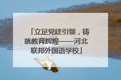 立足党建引领，铸就教育辉煌——河北联邦外国语学校