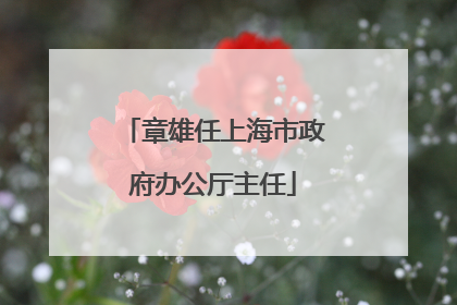 章雄任上海市政府办公厅主任