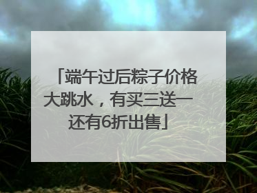 端午过后粽子价格大跳水，有买三送一还有6折出售