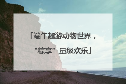 端午趣游动物世界，“粽享”量级欢乐
