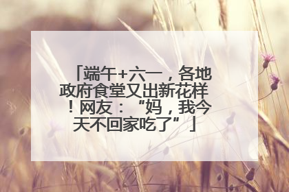 端午+六一，各地政府食堂又出新花样！网友：“妈，我今天不回家吃了”