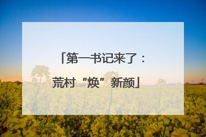 第一书记来了：荒村“焕”新颜