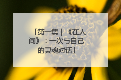 第一集｜《在人间》：一次与自己的灵魂对话